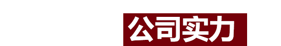 公司优势